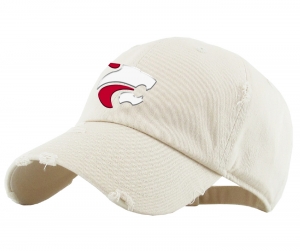 2019 JMHS LIQUID CHROME JAG HEAD DISTRESSED DAD HATS by PACER
