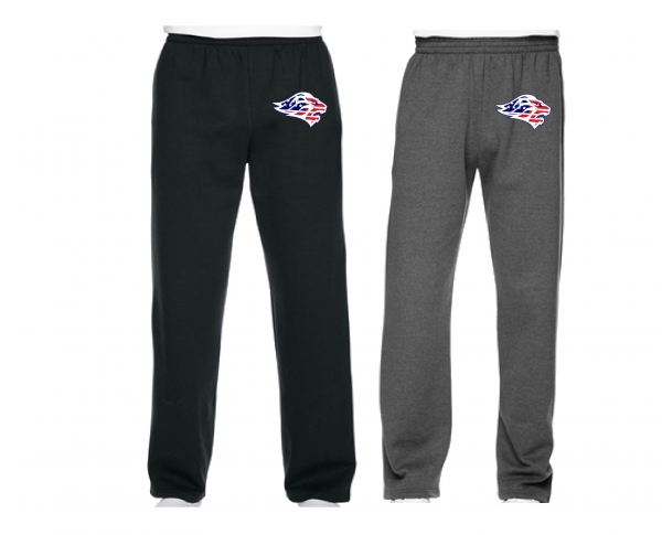 LIONS STARS & STRIPES  OFFICIAL TEAM FLEECE SWEATPANTS by PACER