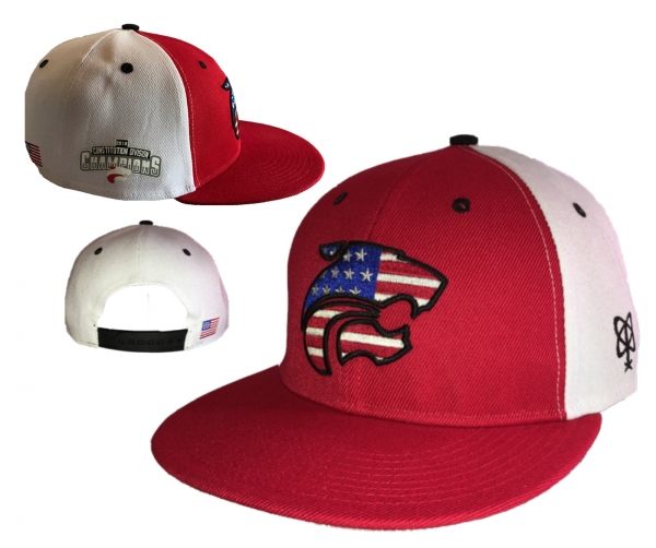 2018 CONSTITUTION DIVISION CHAMPIONS STARS & STRIPES SNAP BACK CAP by PACER