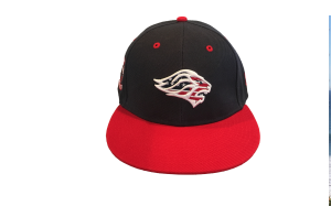 LIONS STARS & STRIPES 10th Anniversary SNAP-BACK CAP  by PACER