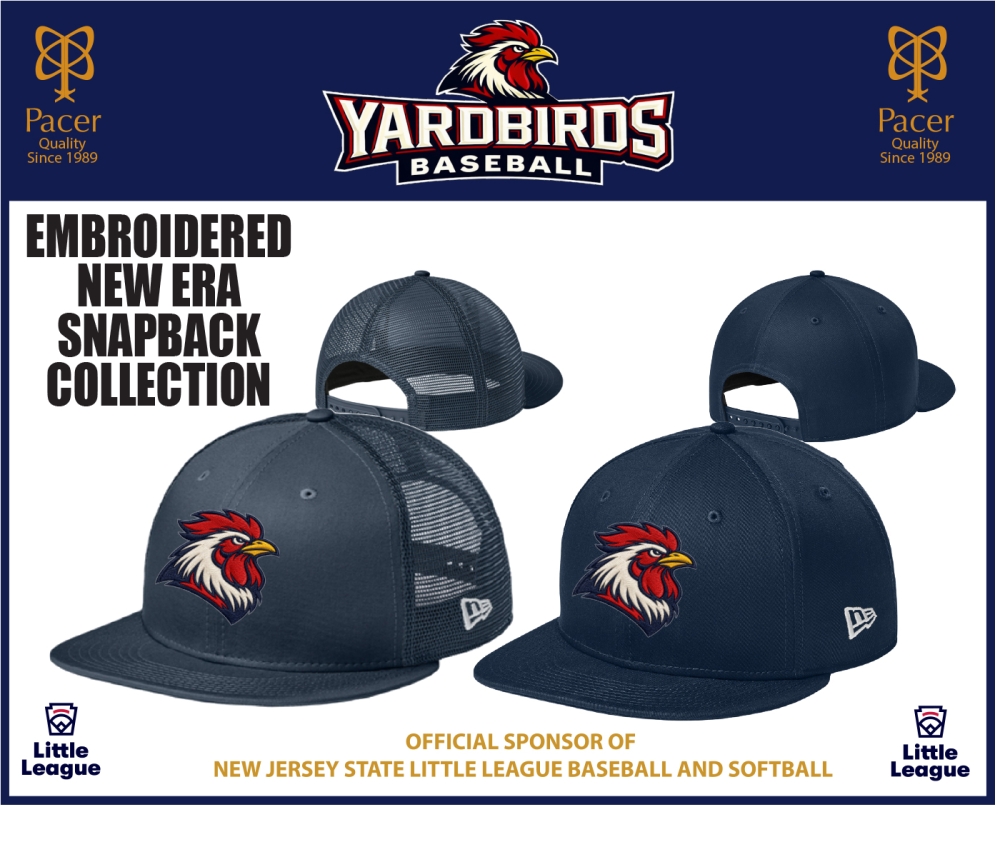 YB EMBROIDERED 950 STYLE SNAP-BACK  COLLECTION by New Era