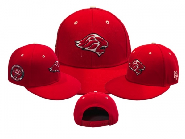 LIONS 10th Anniversary HOME SNAP-BACK CAP  by PACER