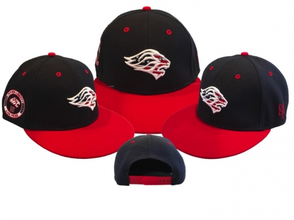 LIONS STARS & STRIPES 10th Anniversary SNAP-BACK CAP  by PACER