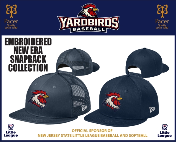 YB EMBROIDERED 950 STYLE SNAP-BACK  COLLECTION by New Era